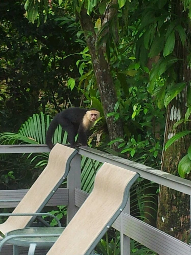 Plaza Yara Hotel Manuel Antonio